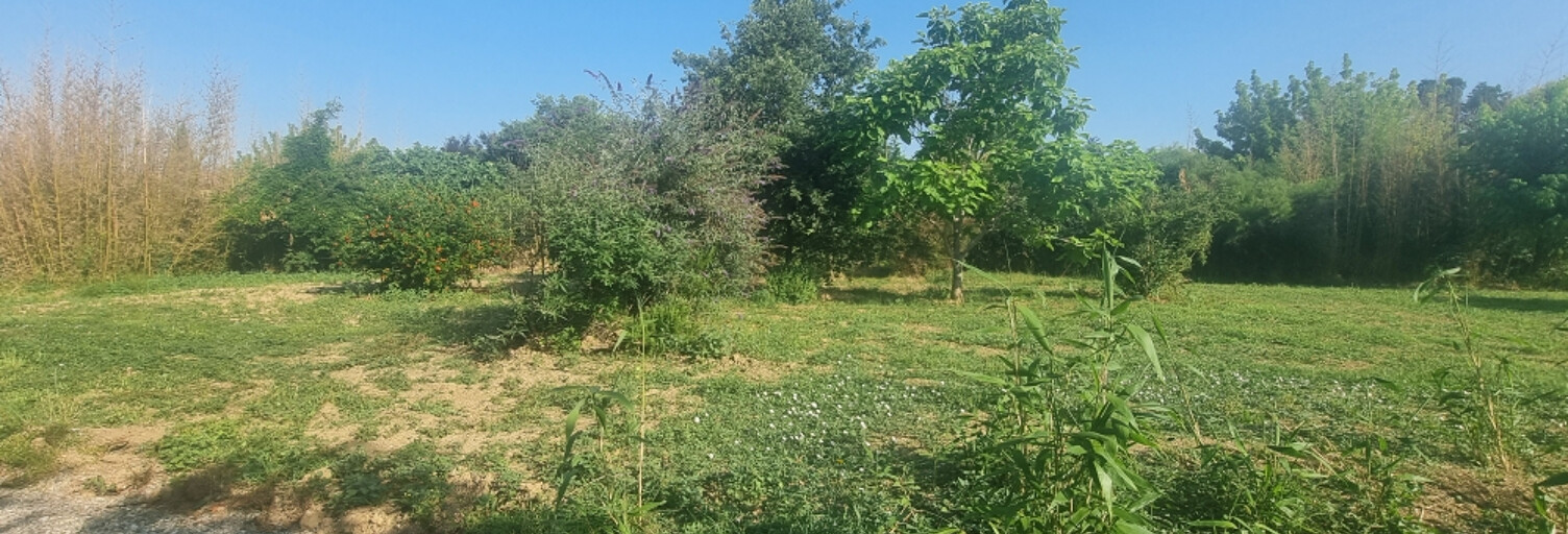 Terrain  944 m² à vendre à Daux (31700)