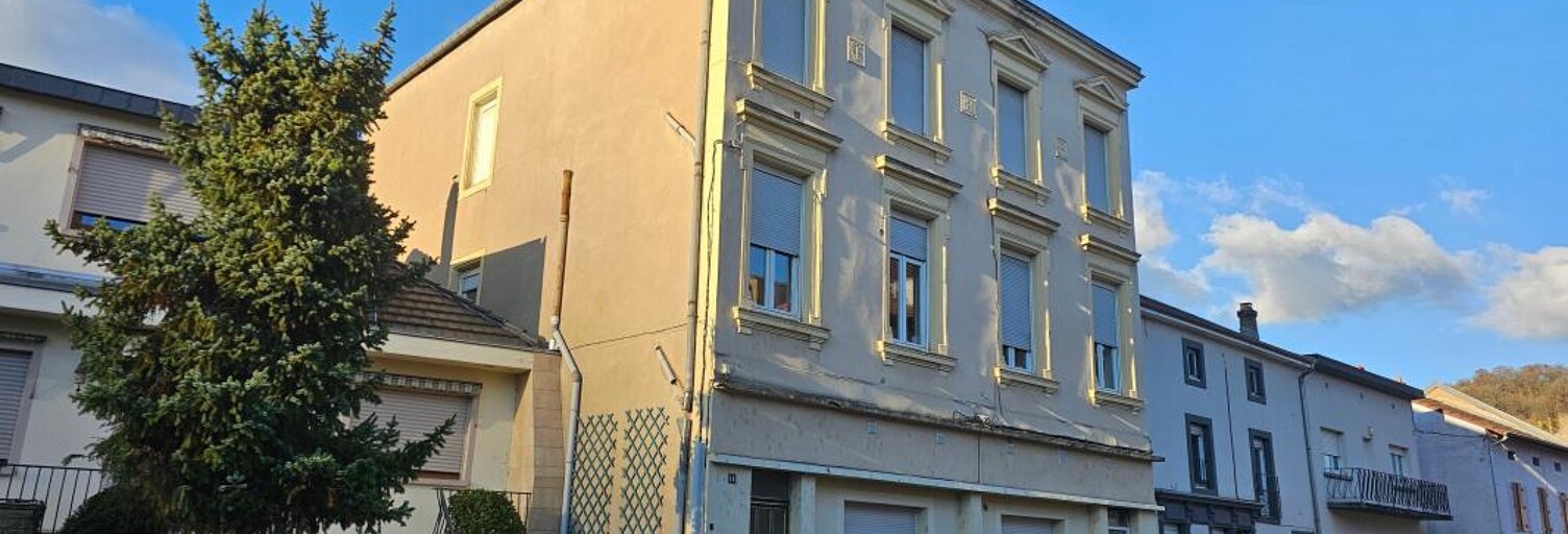 Immeuble  350 m² à vendre à Knutange (57240)