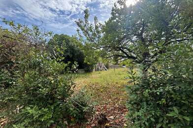 Terrain  117700 €