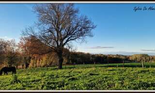 Maison 6 Pièces 145 m² à vendre à Pont-de-Veyle (01290)