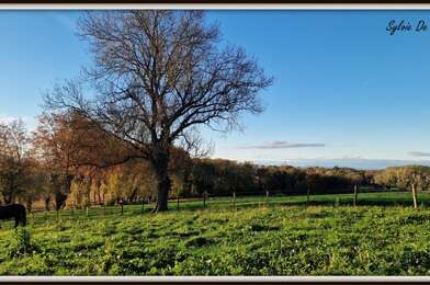 Maison 6 pièces 649000 €