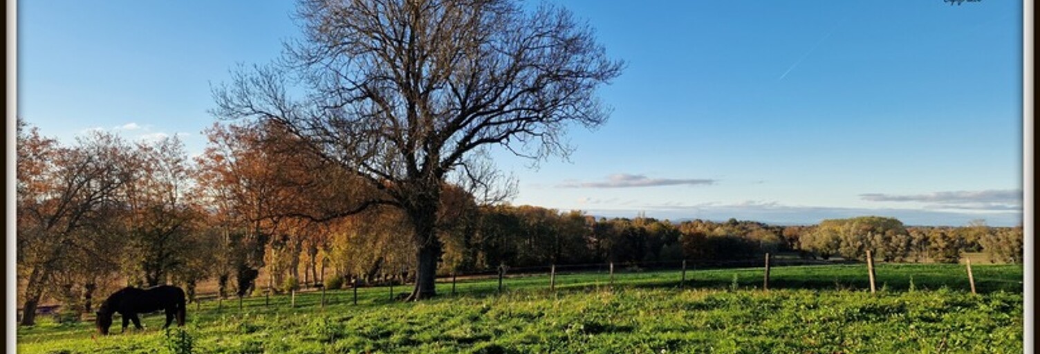 Maison 6 Pièces 145 m² à vendre à Pont-de-Veyle (01290)