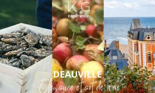 Commerce  219 m² à vendre à Deauville (14800)