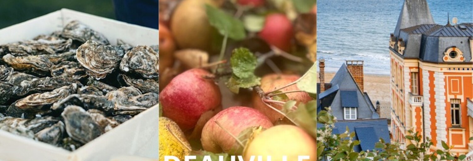 Commerce  219 m² à vendre à Deauville (14800)