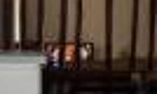 Appartement 2 Pièces 50 m² à louer à Charlieu (42190)