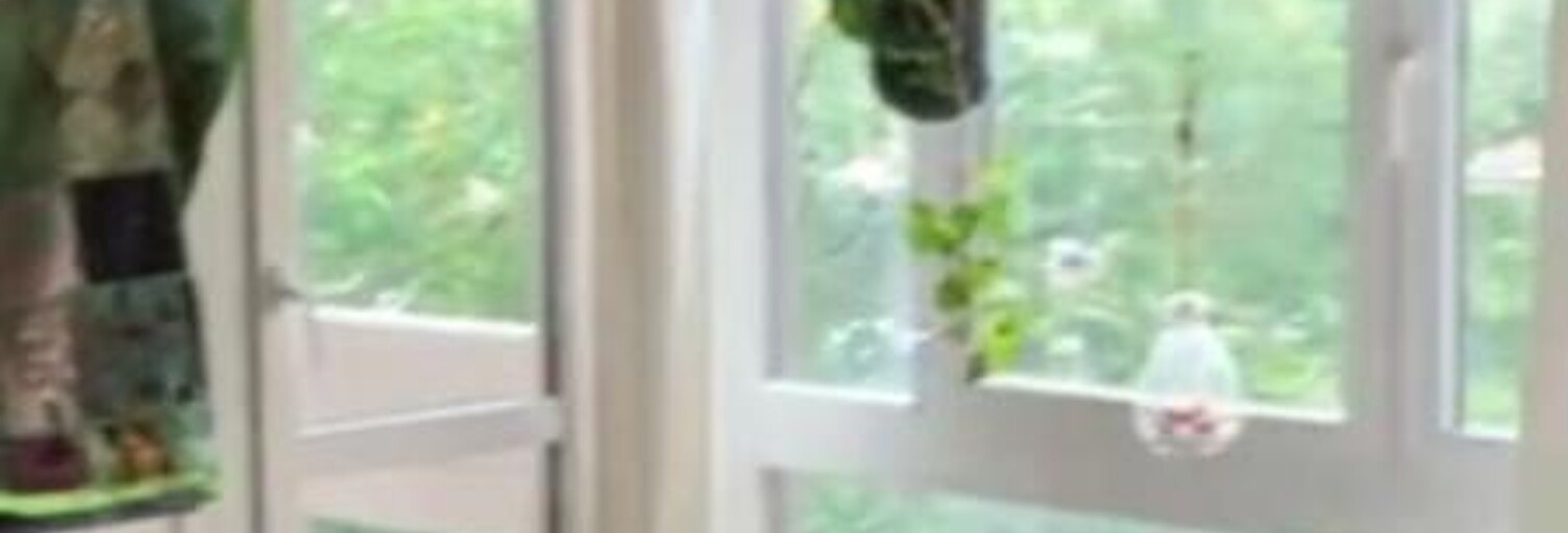 Appartement 1 Pièce 14 m² à louer à Les Ulis (91940)