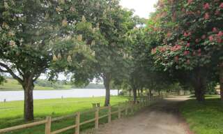 Maison 3 Pièces 40 m² à louer à Pont-Croix (29790)