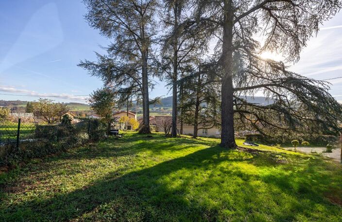 Propriété  comprenant 3 appartements  dans un parc arboré de 2753 m² — photo 5