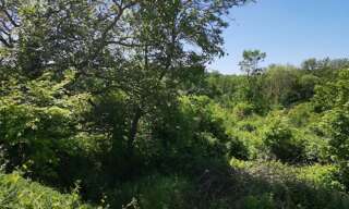 Terrain  2279 m² à vendre à Ableiges (95450)