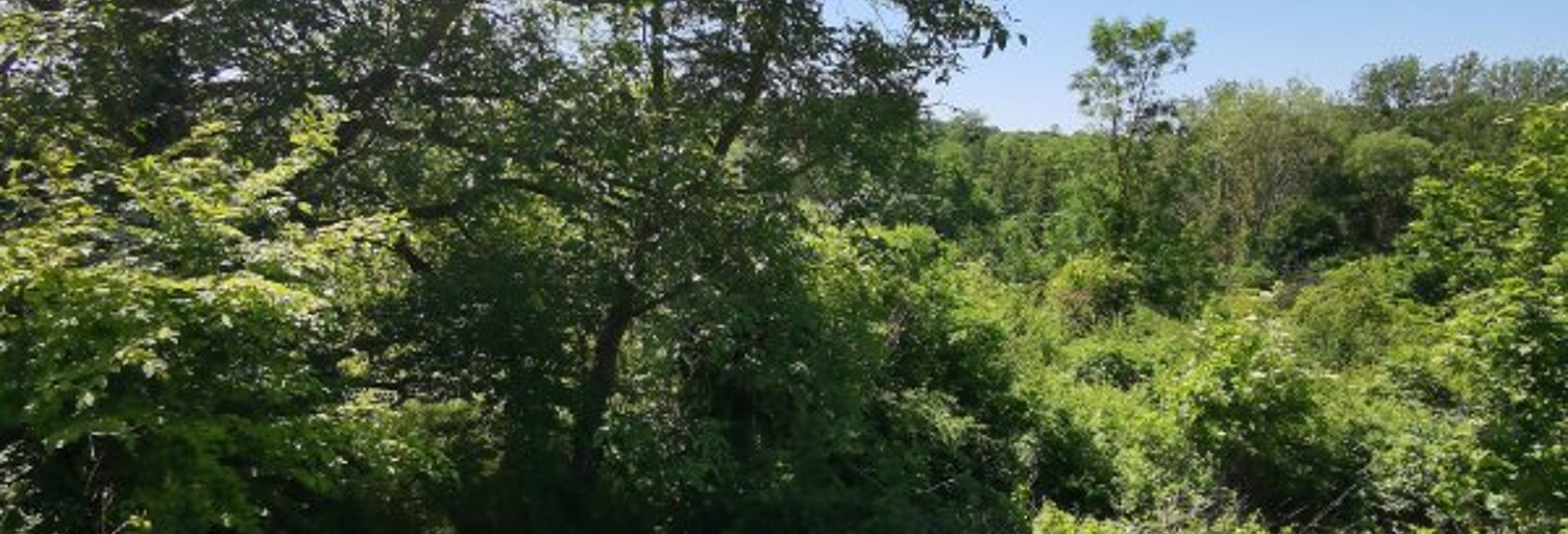 Terrain  2279 m² à vendre à Ableiges (95450)