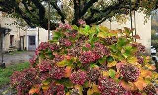 Maison 4 Pièces 85 m² à vendre à Lacombe (11310)