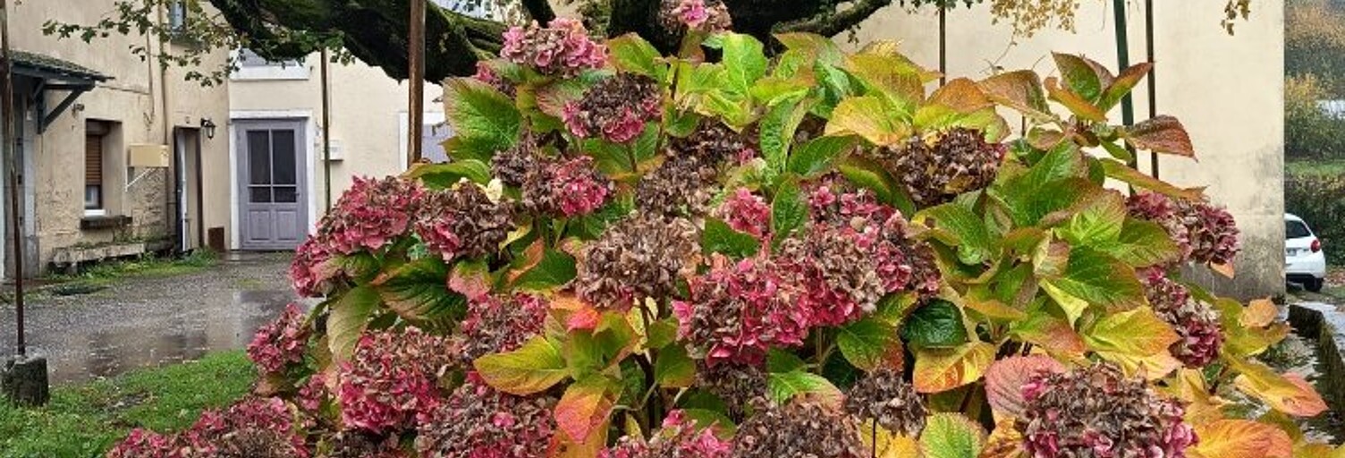 Maison 4 Pièces 85 m² à vendre à Lacombe (11310)