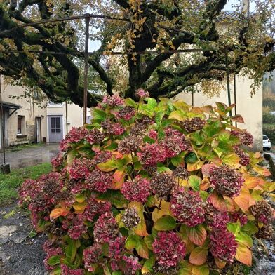 Maison 4 pièces 116500 €