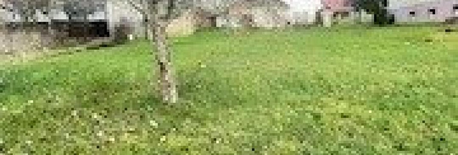 Terrain  1000 m² à vendre à Osenbach (68570)