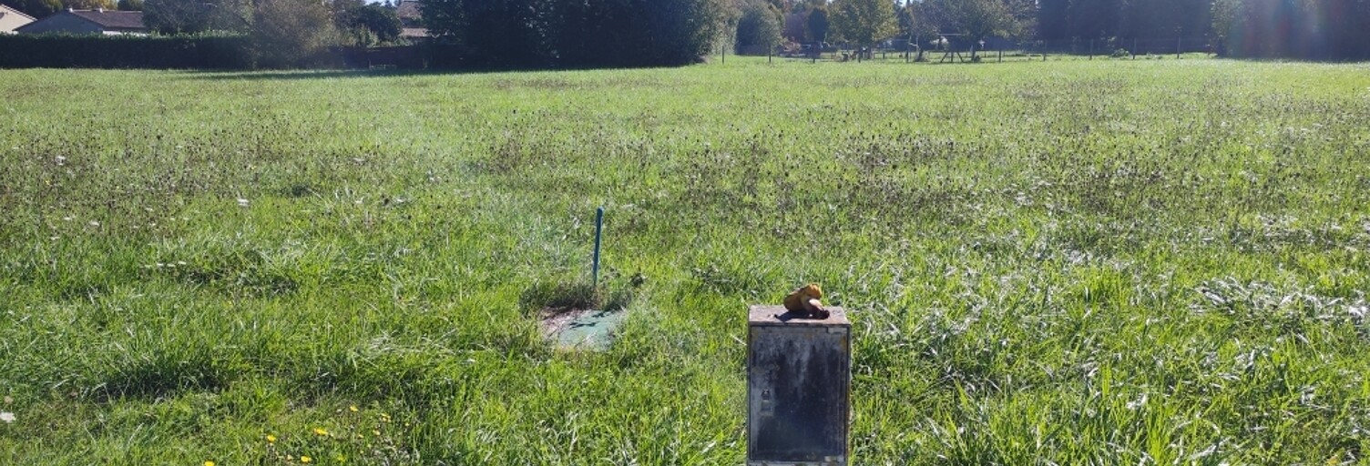 Photo N° 2