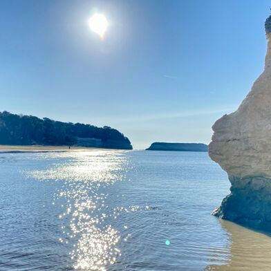 Appartement 3 pièces 241500 €