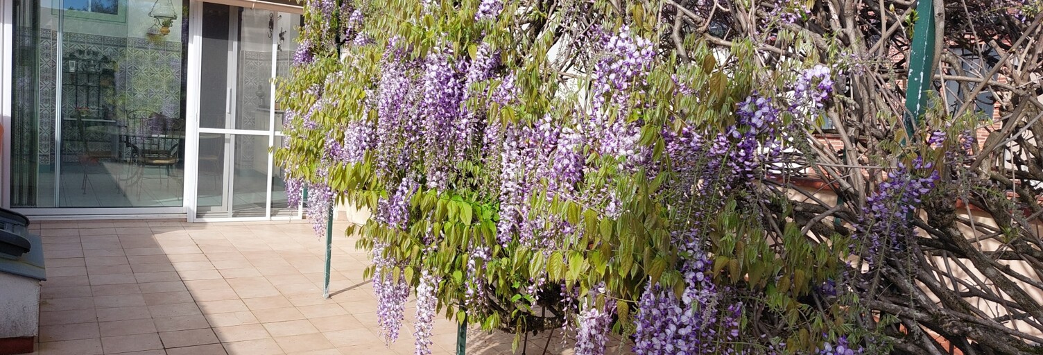 Maison 14 Pièces 194 m² à vendre à Albi (81000)