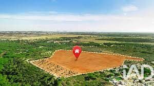 Dolus-D-Oleron - 410m²