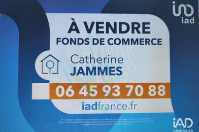 Commerce  29000 €