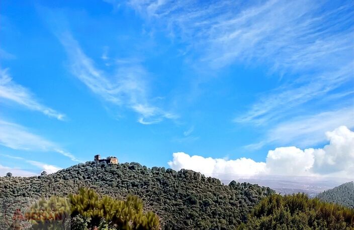 Terrain de loisir — photo 3