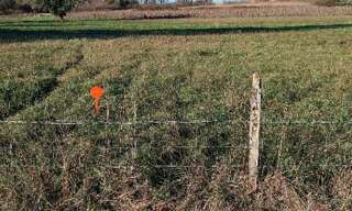 Terrain  1500 m² à vendre à Peujard (33240)