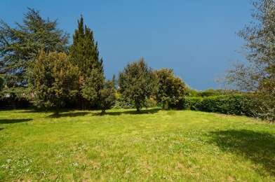 Terrain  230000 €