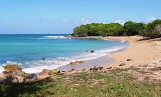 Maison 20 Pièces 440 m² à vendre à Deshaies (97126)