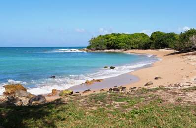 VUE MER Villa avec piscine + 5 villas créole avec piscine commune, plage à pied à Sainte Rose  (971) — photo du bien