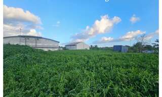 Terrain  1006 m² à vendre à Sainte-Rose (97115)