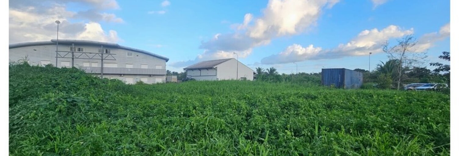 Terrain  1006 m² à vendre à Sainte-Rose (97115)