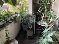 PRODUIT RARE ,TRES BEL APPT RUE ROLAND OUDOT 94000 CRETEIL. — photo 2