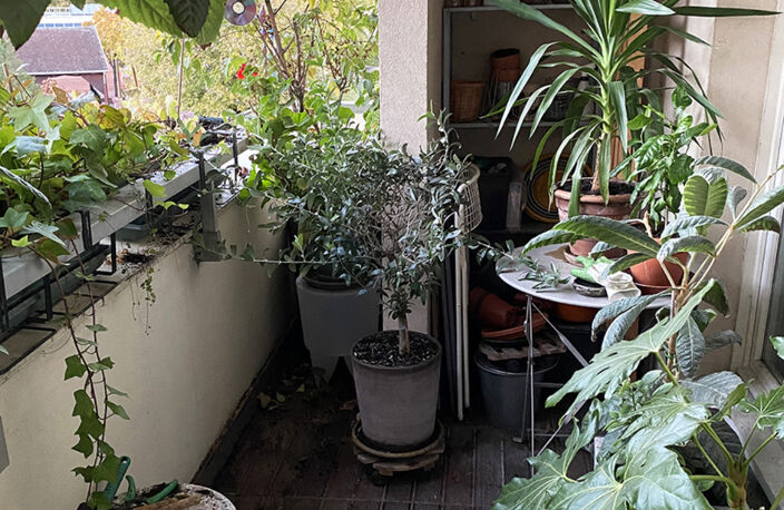 PRODUIT RARE ,TRES BEL APPT RUE ROLAND OUDOT 94000 CRETEIL. — photo 2