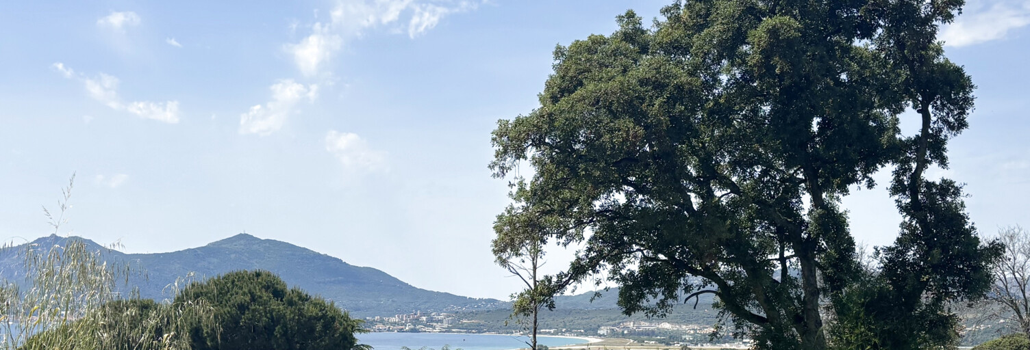 Terrain  746 m² à vendre à Albitreccia (20166)