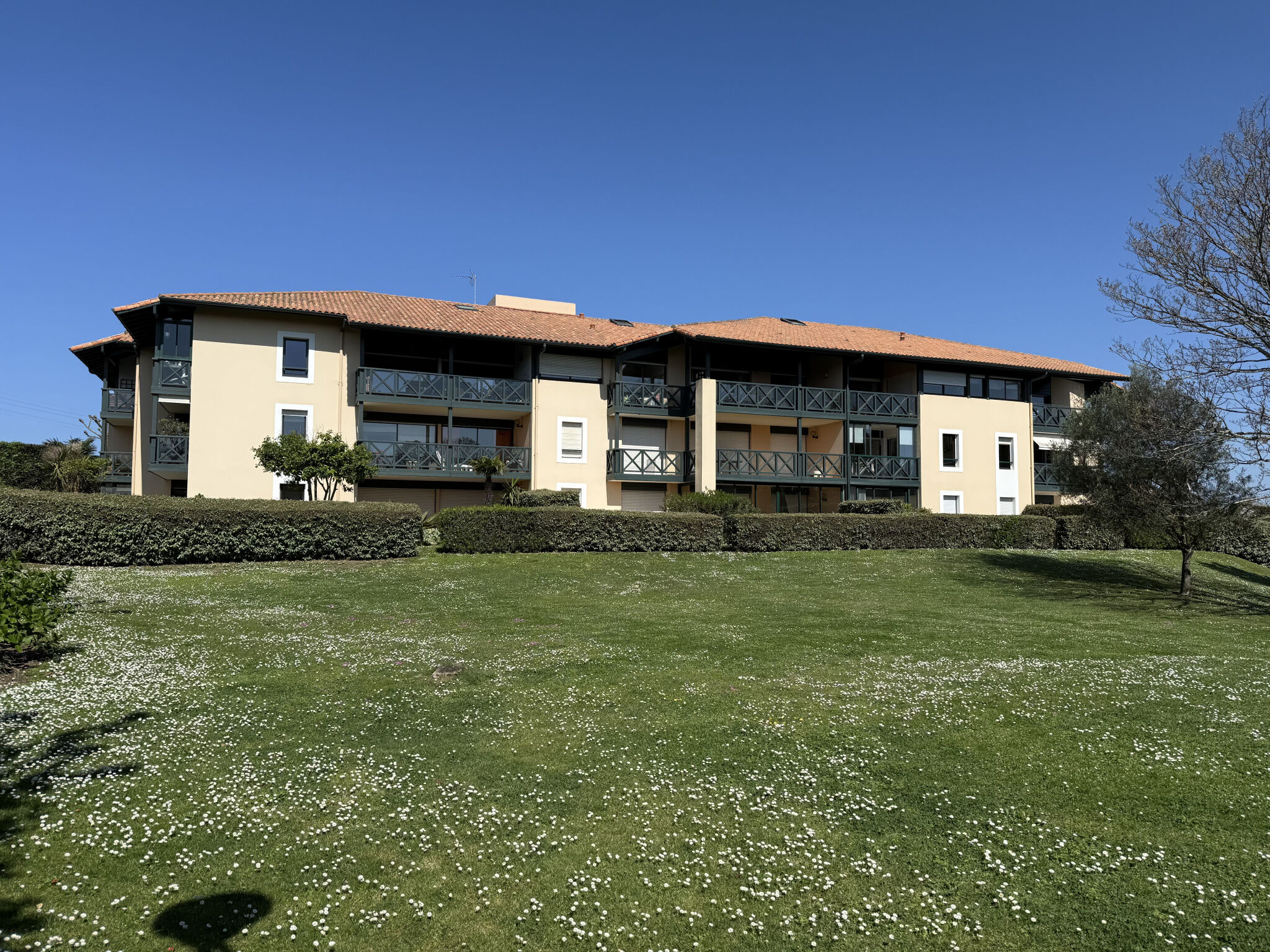 Appartement  T3 à vendre Anglet 64600