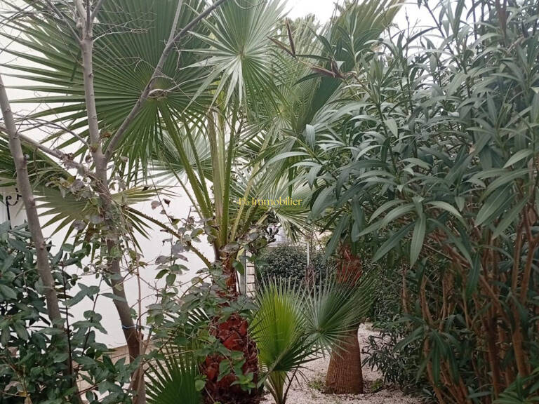 AGDE  RARE MAISON  DPE classé A (environ 200M² ) SUR 492M² DE TERRAIN .QUARTIER CALME — photo 1