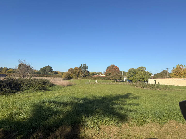 TERRAIN CONSTRUCTIBLE DE 7 400 M² - CARTELÈGUE (33390) — photo 1
