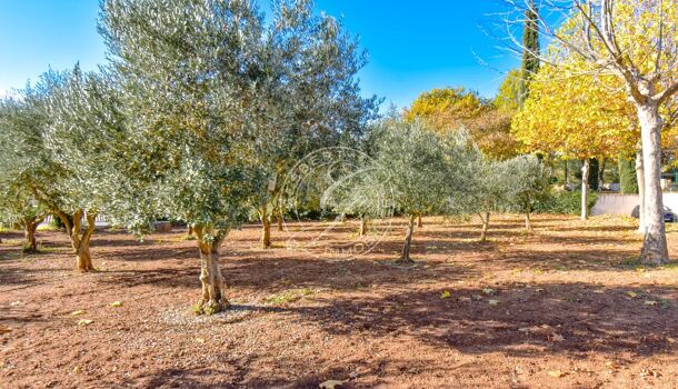 Villa / Maison 8 pièces  à vendre Salernes 83690