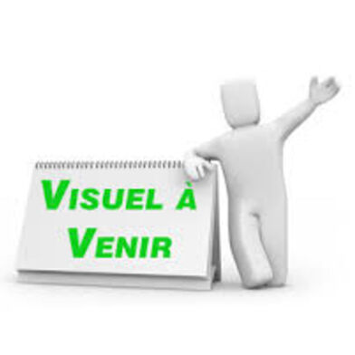 Appartement 3 pièces 900 €