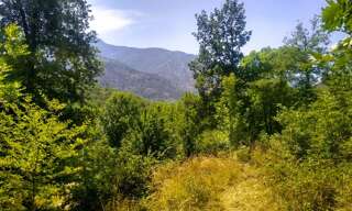 Terrain  1370 m² à vendre à Clara-Villerach (66500)