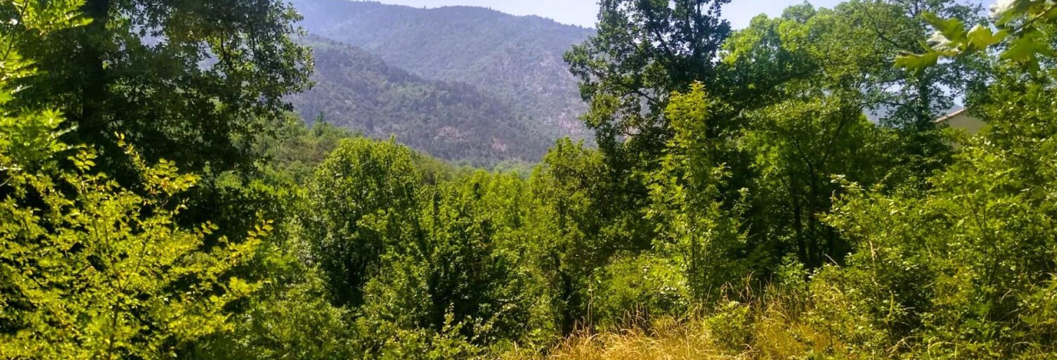 Terrain  1370 m² à vendre à Clara-Villerach (66500)