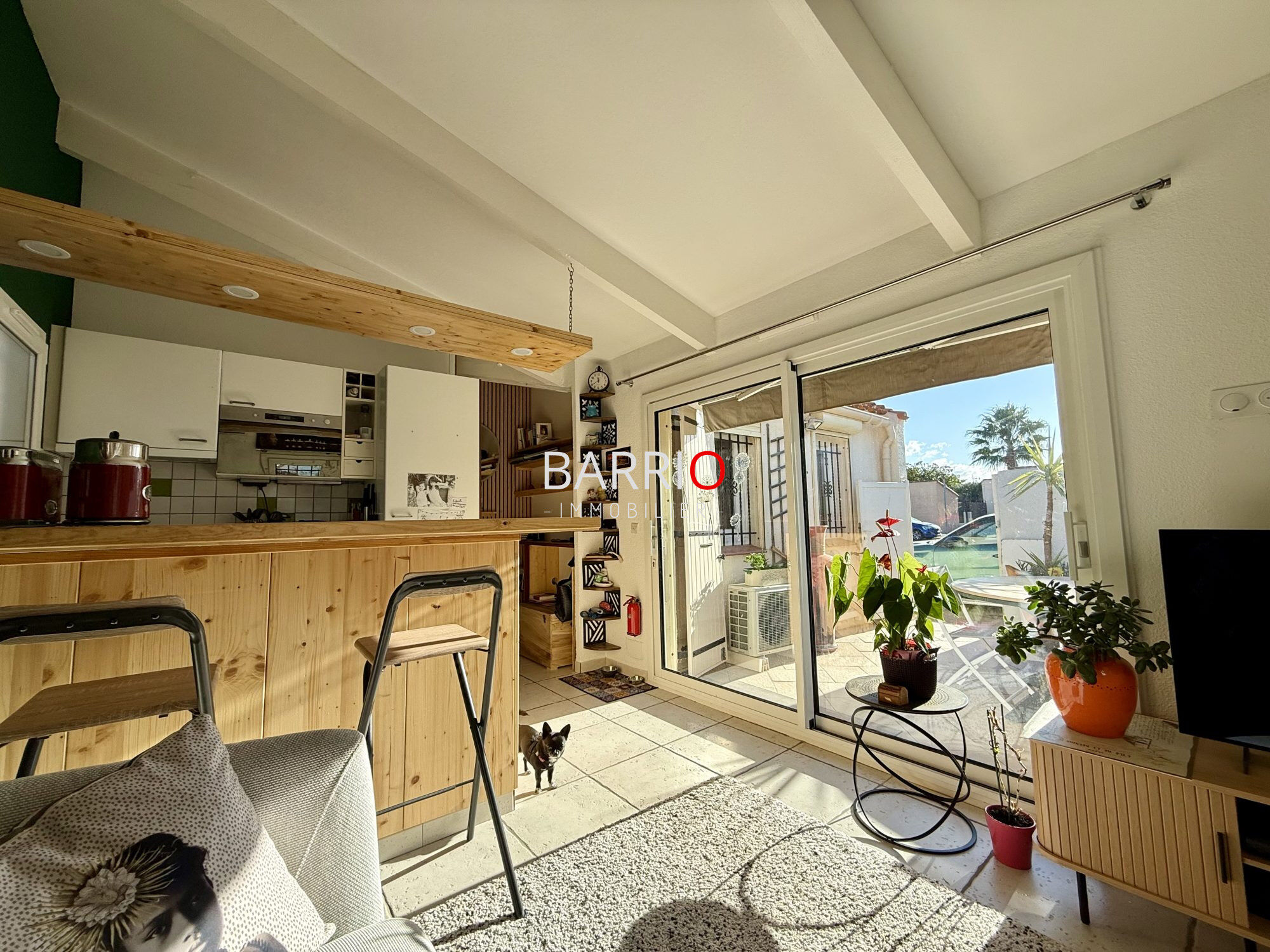 Villa / Maison 2 pièces  à vendre Saint-Cyprien 66750