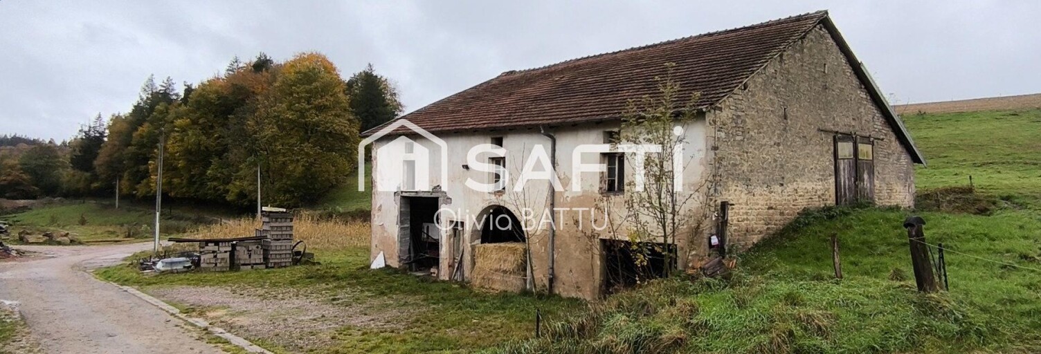 Maison 1 Pièce 290 m² à vendre à Uriménil (88220)