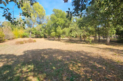 Terrain  231000 €