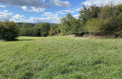 Magnifique Terrain constructible de 3571 M2  sur les hauteur — photo du bien
