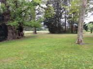Magnifique Terrain constructible de 3571 M2  sur les hauteur — photo 2