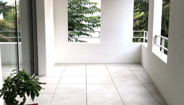 Appartement 3 pièces  à louer Marseille 8eme 13008