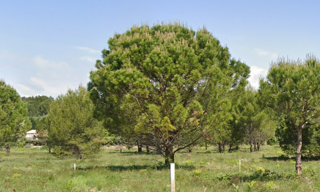 Maison 85 m² à construire Caromb (84330)