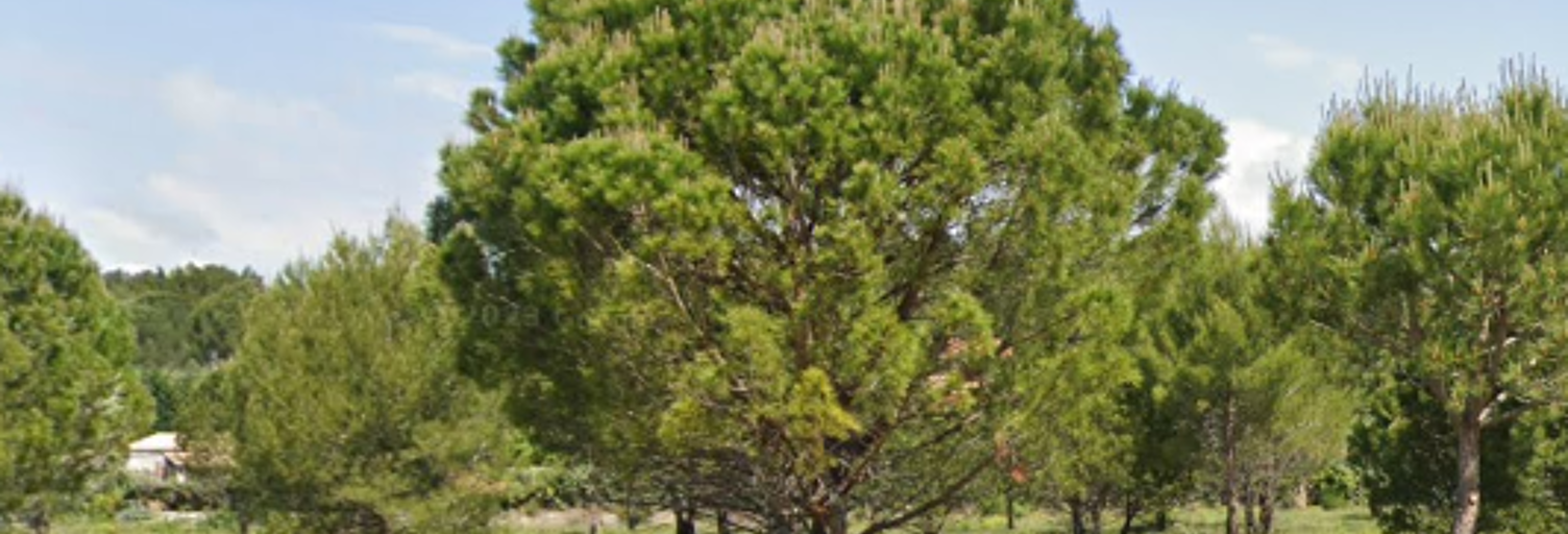 Maison 85 m² à construire Caromb (84330)