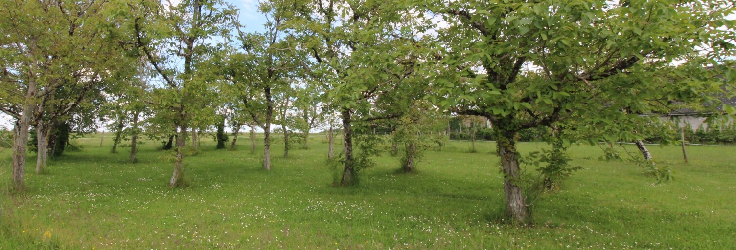 Terrain  980 m² à vendre à Monteaux (41150)