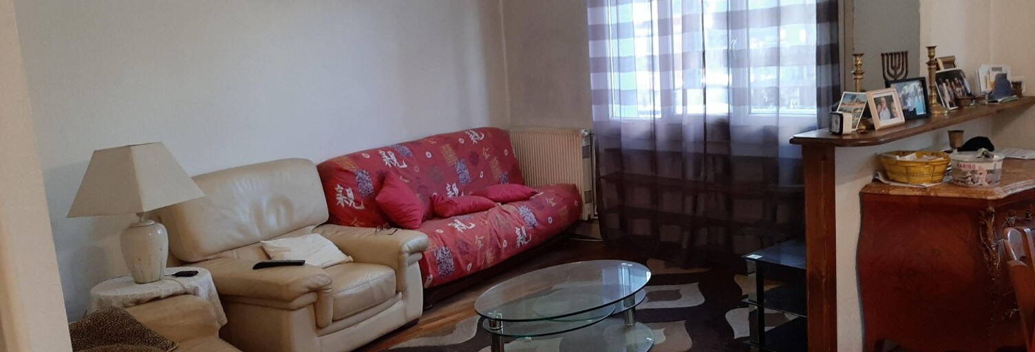 Appartement 3 Pièces 55 m² à louer à Villeurbanne (69100)